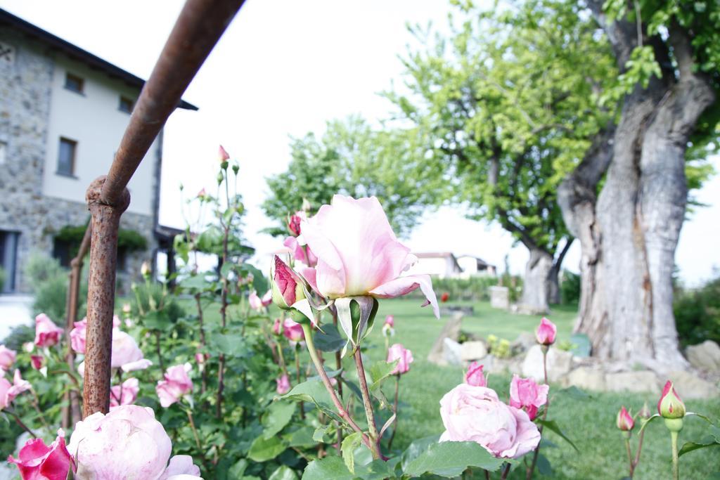 Massoni Bed And Breakfast Peschiera del Garda Zewnętrze zdjęcie