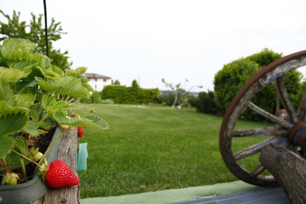 Massoni Bed And Breakfast Peschiera del Garda Zewnętrze zdjęcie